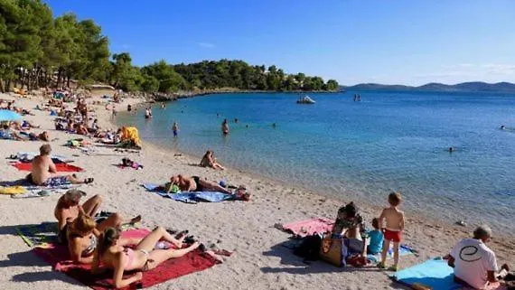 Pansion Mario 드라게