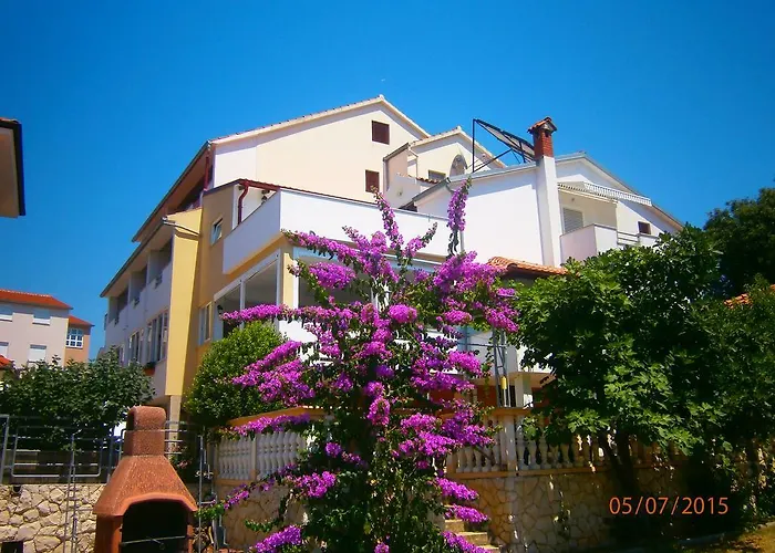 Pansion Mario 드라게